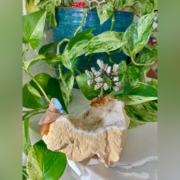 Tucan Carving On Calcite - Picture 6 of 7